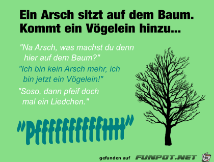 Neulich im Baum