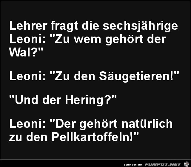 Das Kind kennt sich aus Das Kind kennt sich aus