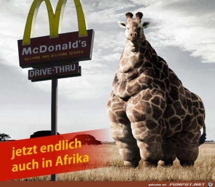 Jetzt endlich auch in Afrika Jetzt endlich auch in Afrika