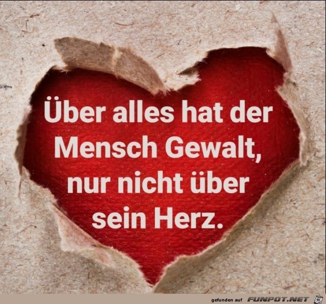 Herz