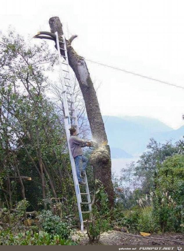 riskant7 riskant7