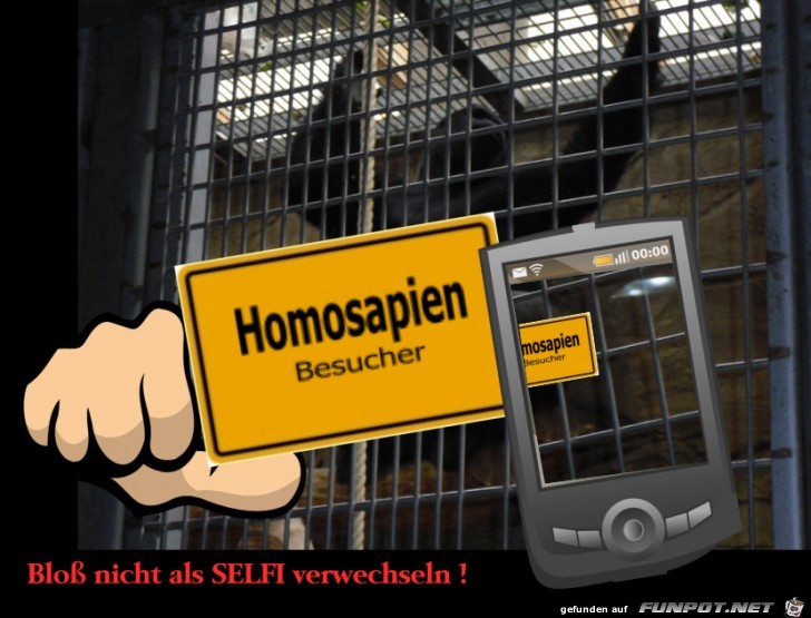 Neulich im Zoo Neulich im Zoo