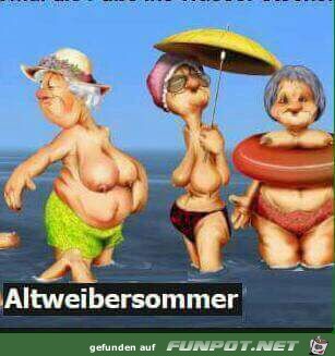 Altweibersommer Altweibersommer