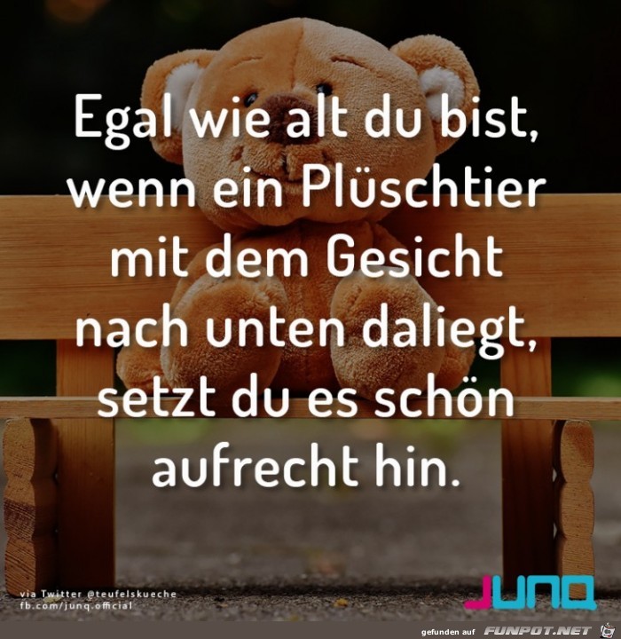 Plüschtier Plüschtier