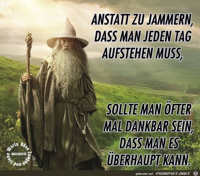 Anstatt zu Jammern