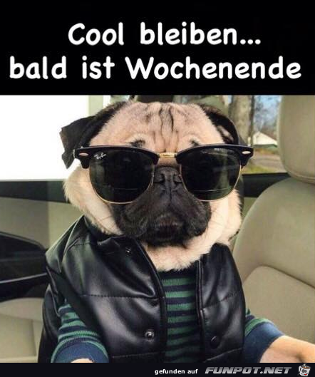 Immer cool bleiben Immer cool bleiben
