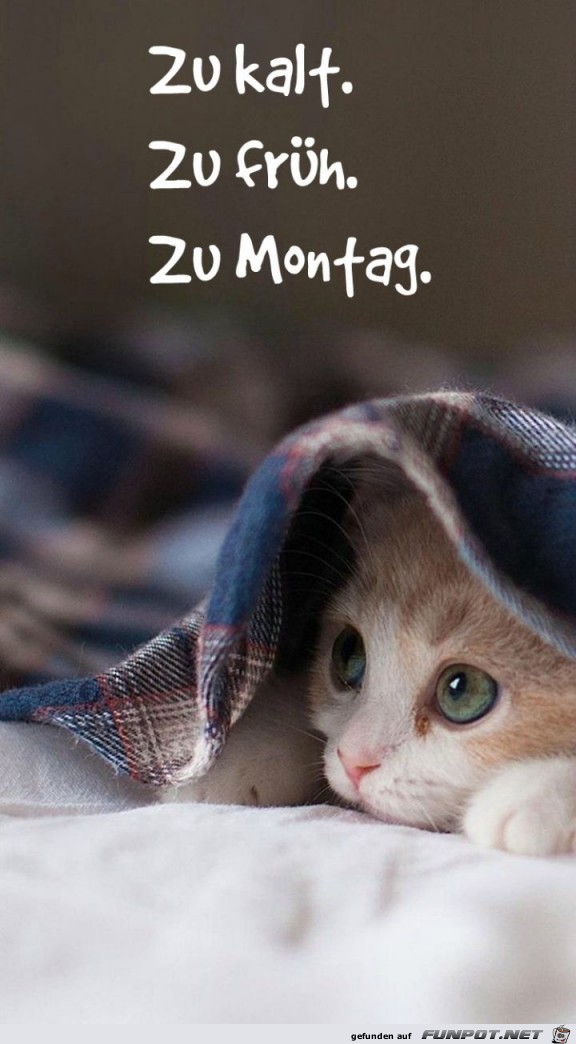 Montag Montag