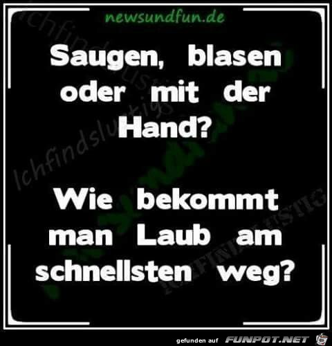 oder mit der Hand? oder mit der Hand?
