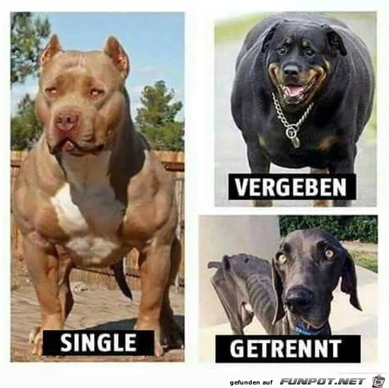 Gut getroffen Gut getroffen