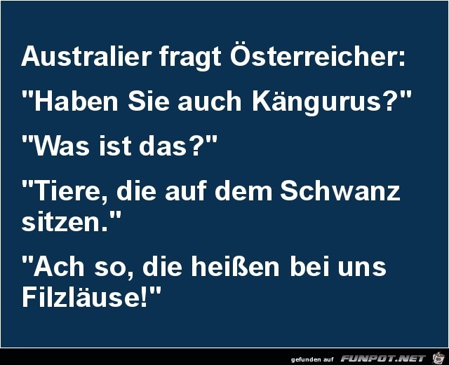 Kängurus Kängurus