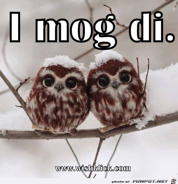 I mog di I mog di