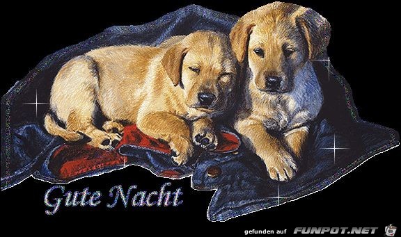 Gute Nacht