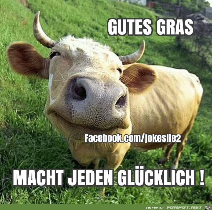 Gutes Gras