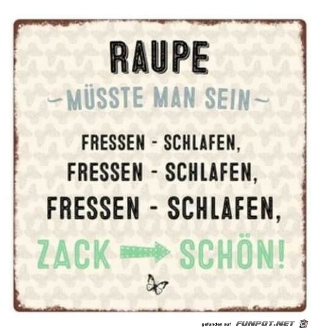 Raupe müßte man sein Raupe müßte man sein