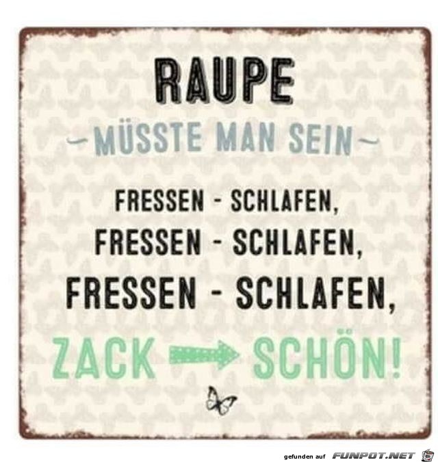 Raupe mte man sein