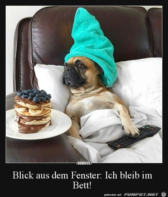 blick aus dem Fenster...... blick aus dem Fenster......