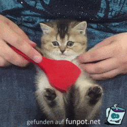 Genießer Genießer