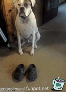 Schuhe testen Schuhe testen