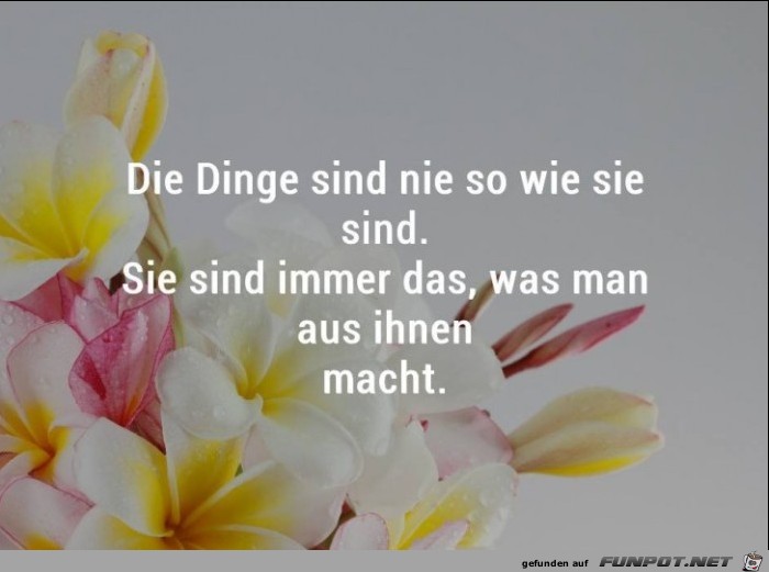 Die Dinge sind nie so