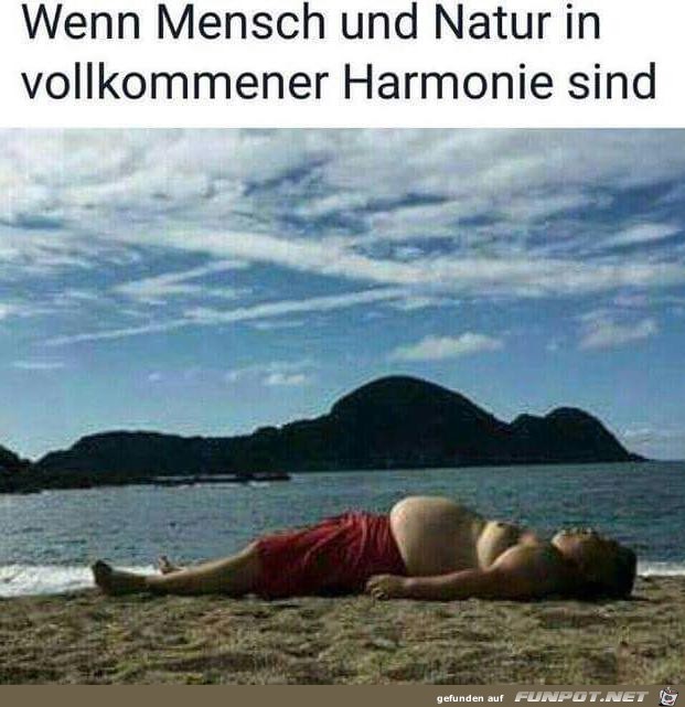 Wenn Mensch und Natur ... Wenn Mensch und Natur ...