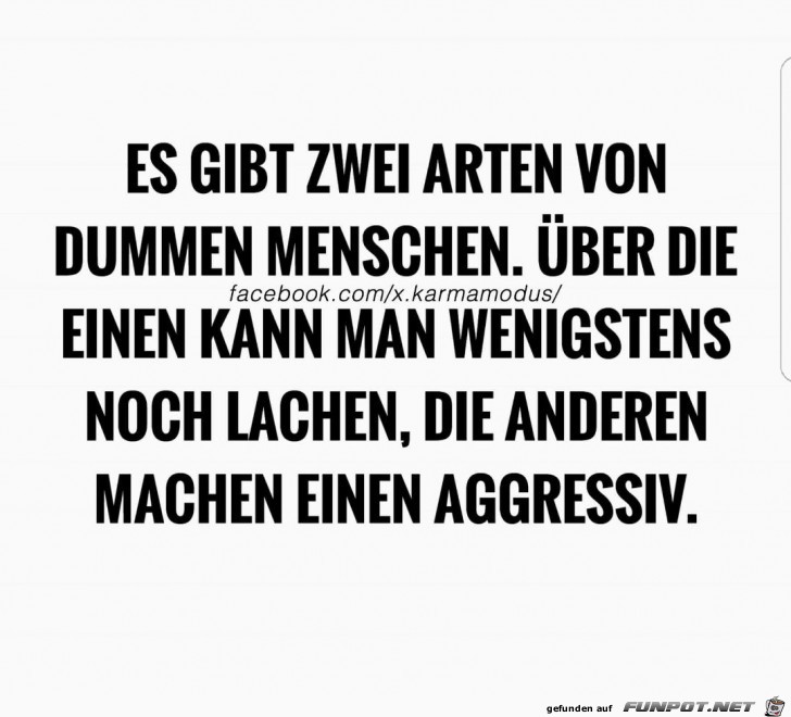 Zwei Arten von dummen Menschen Zwei Arten von dummen Menschen