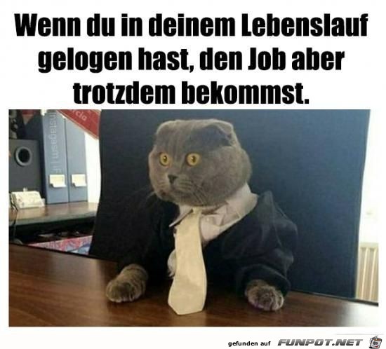 Im Lebenslauf gelogen Im Lebenslauf gelogen
