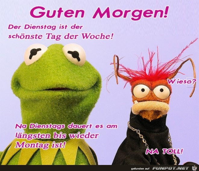 Dienstag Dienstag