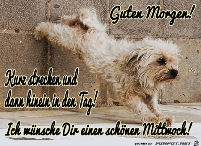 Mittwoch Mittwoch