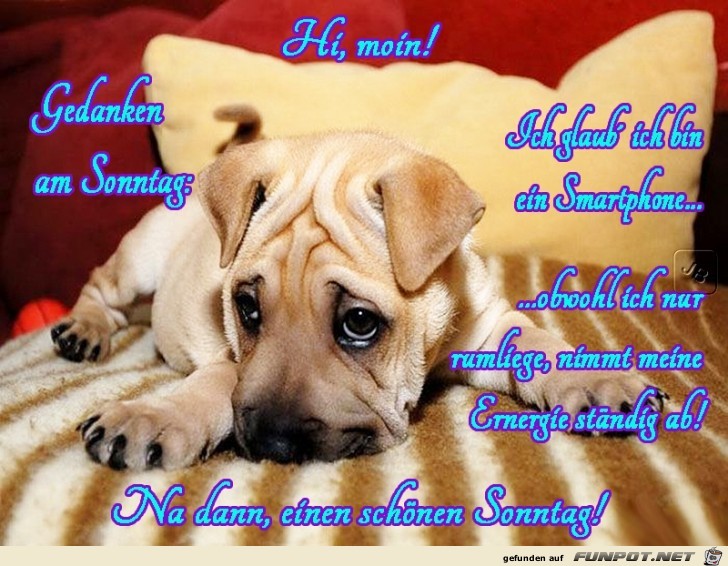 Sonntag Sonntag