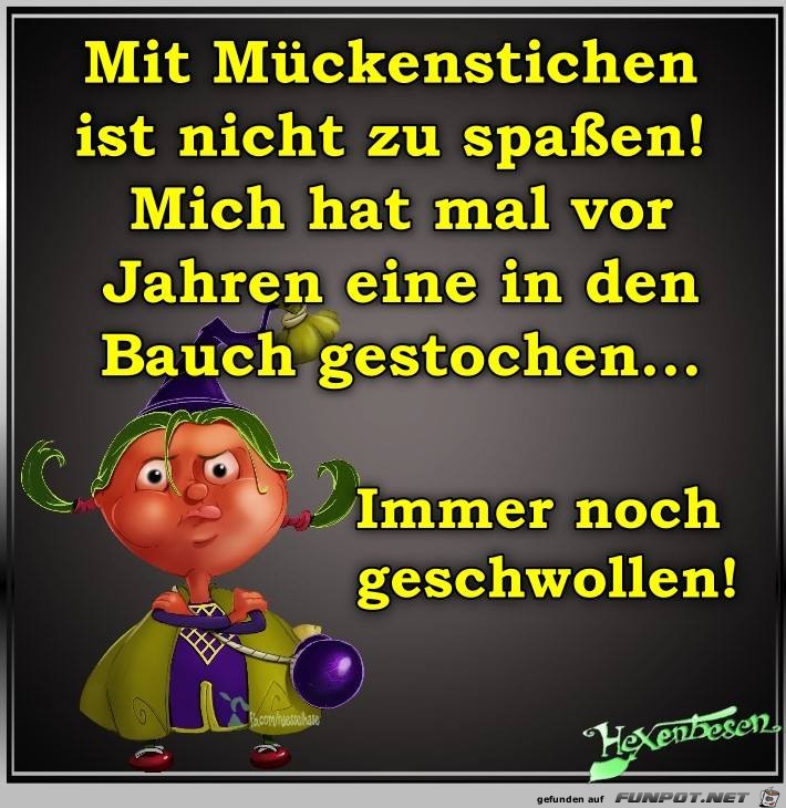 Mueckenstiche Mueckenstiche
