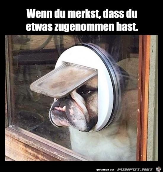 Figurprobleme? Figurprobleme?