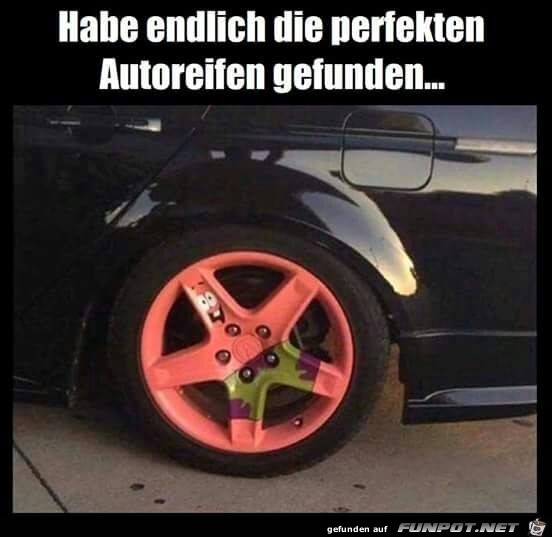 perfekte Autoreifen gefunden