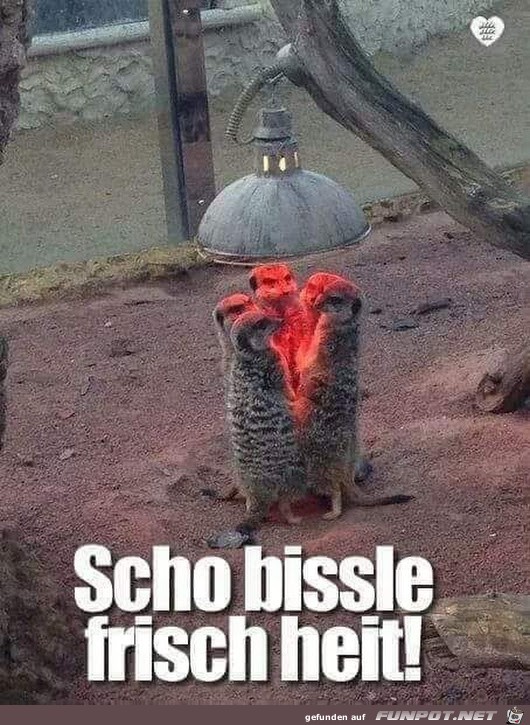 Ziemlich frisch Ziemlich frisch