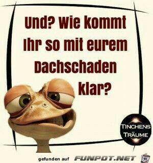 was macht euer Dachschaden? was macht euer Dachschaden?