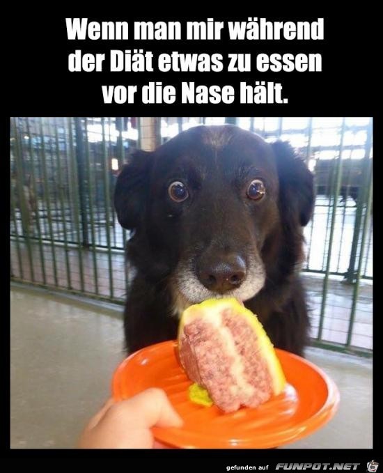 wie gemein wie gemein
