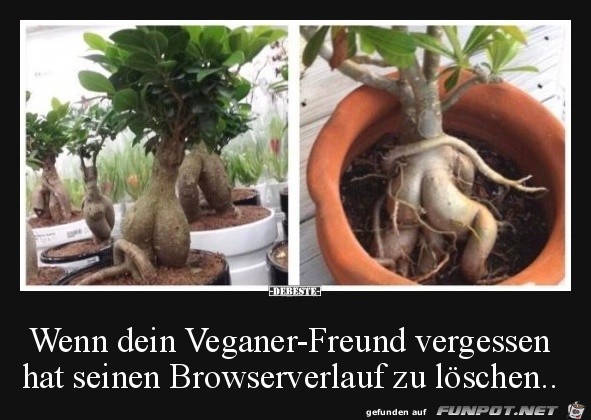Browserverlauf nicht gelöscht Browserverlauf nicht gelöscht