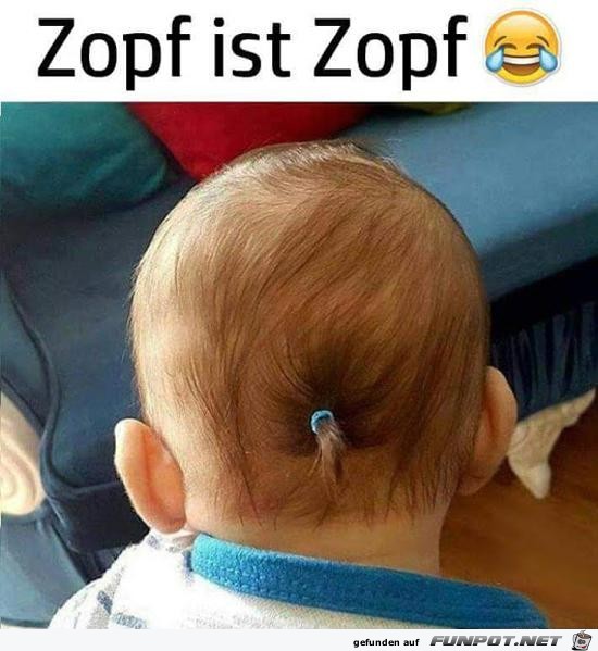 Hauptsache Zopf Hauptsache Zopf