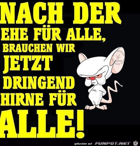 Hirne fr alle!