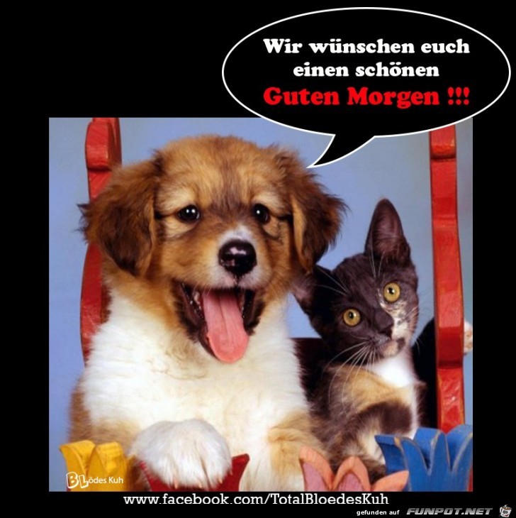 Guten Morgen Guten Morgen