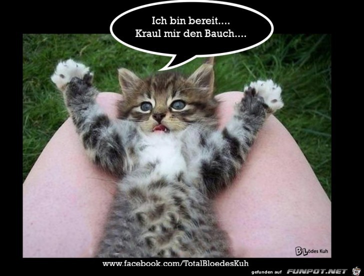Bin bereit Bin bereit