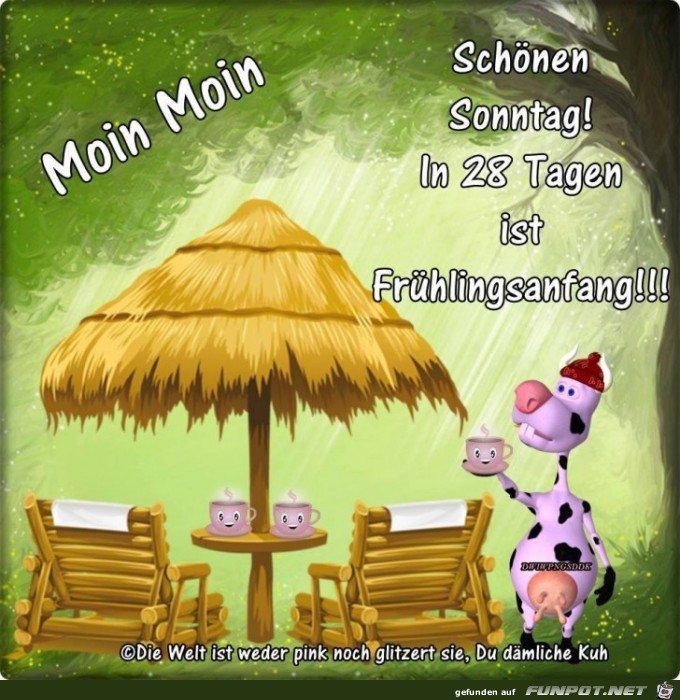 Moin Moin Moin Moin