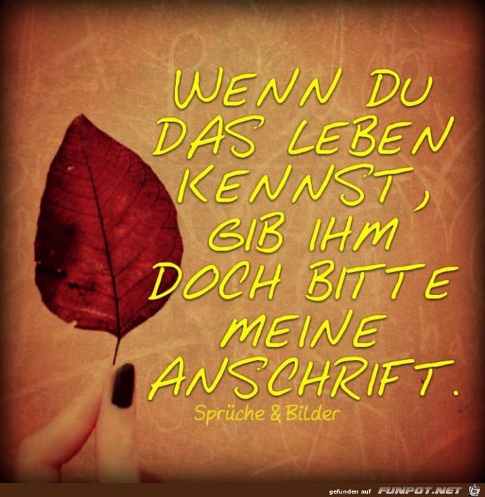 Wenn du das Leben kennst Wenn du das Leben kennst