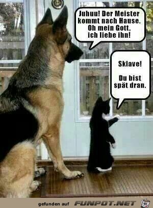 Unterschiedliche Freude Unterschiedliche Freude