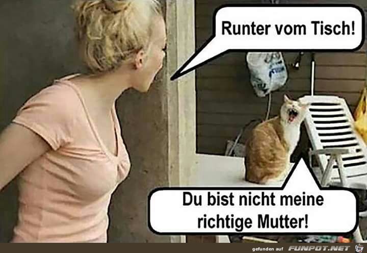 Runter vom Tisch Runter vom Tisch