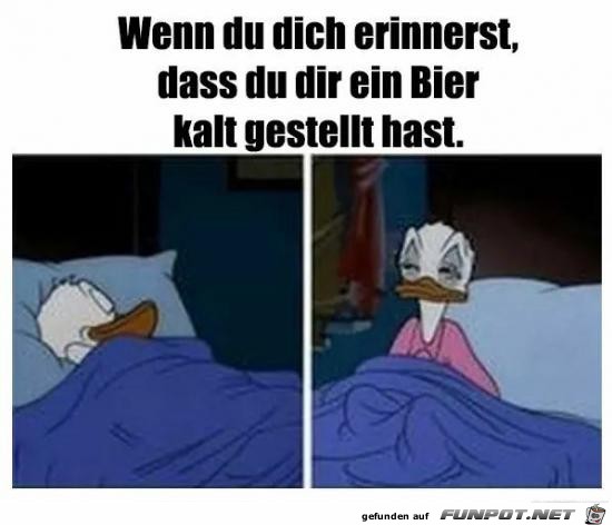 Dumm gelaufen Dumm gelaufen