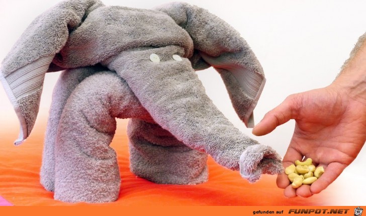Handtuch-Elefant