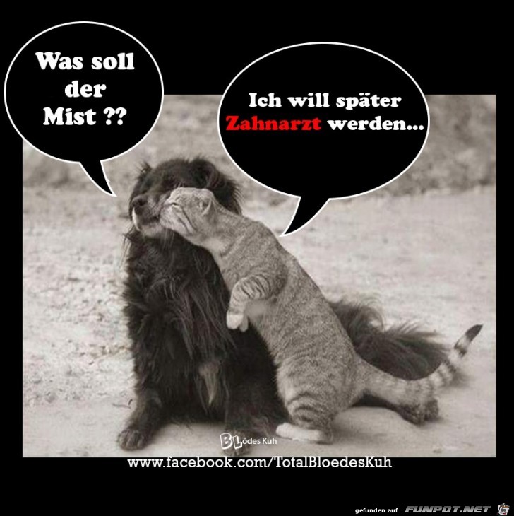 Was soll der Mist Was soll der Mist
