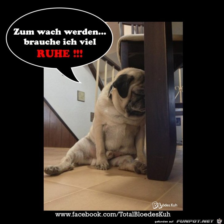 Zum wach werden Zum wach werden