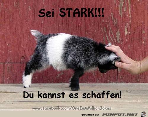 Sei stark Sei stark