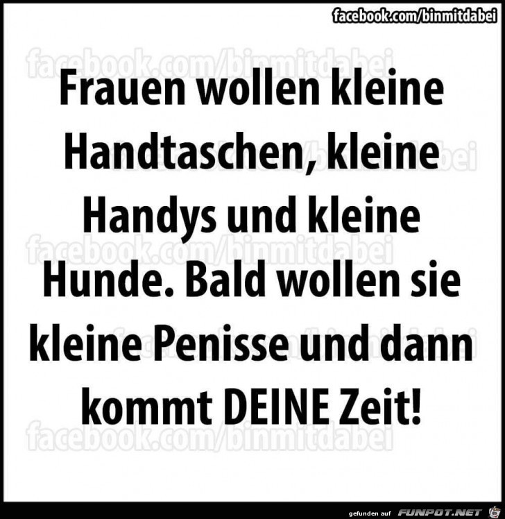 Frauen wollen kleine Handtaschen Frauen wollen kleine Handtaschen